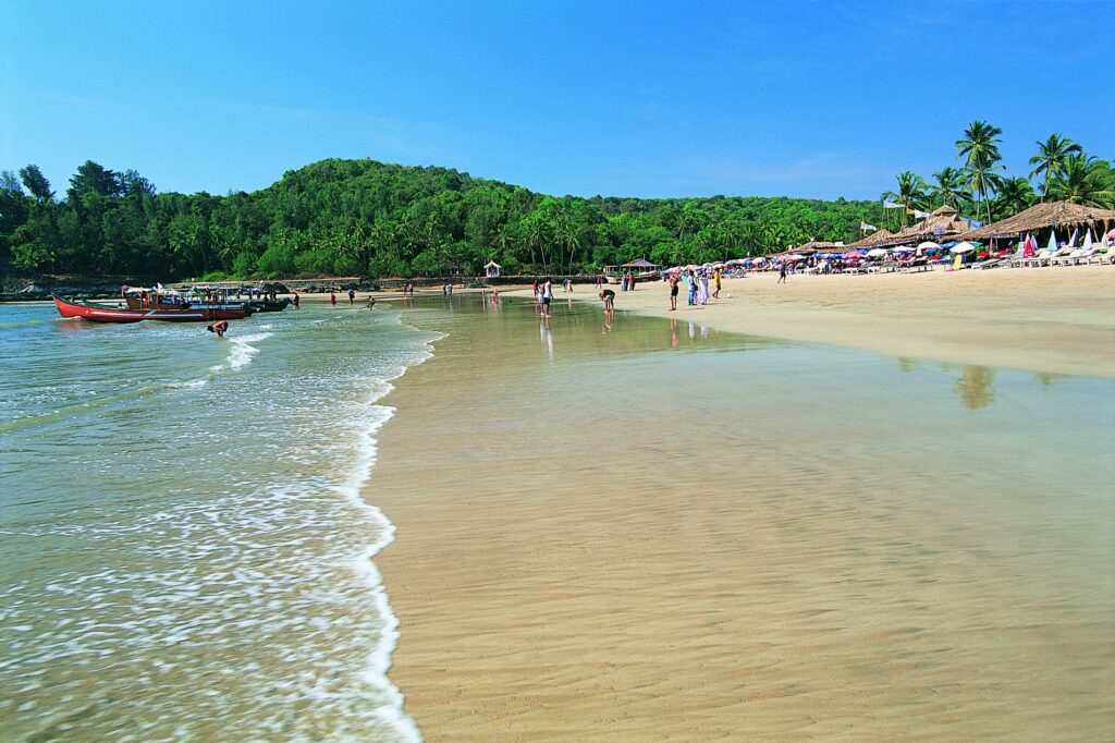 Dragonfly Beach - Goa Tourism