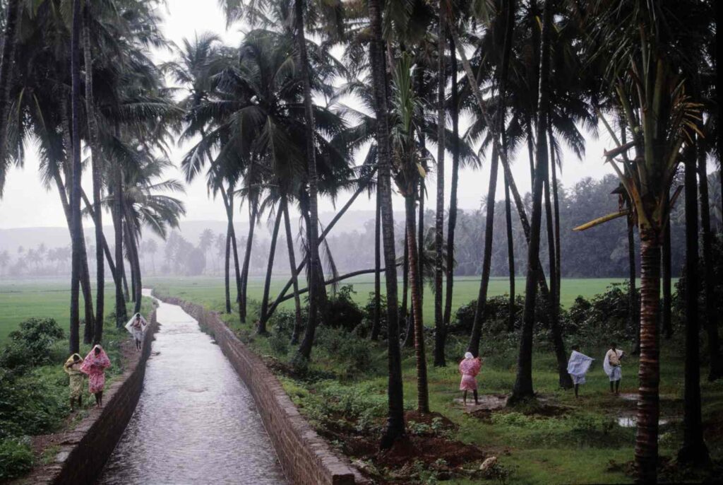 Can We Visit Goa in Monsoon?