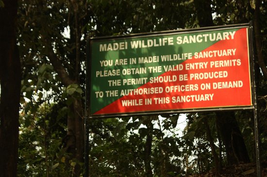 Mhadei(Madei) wildlife Sanctuary