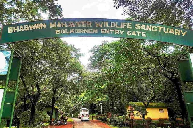 Bhagwan Mahavir Wildlife sanctuary Entry Gate