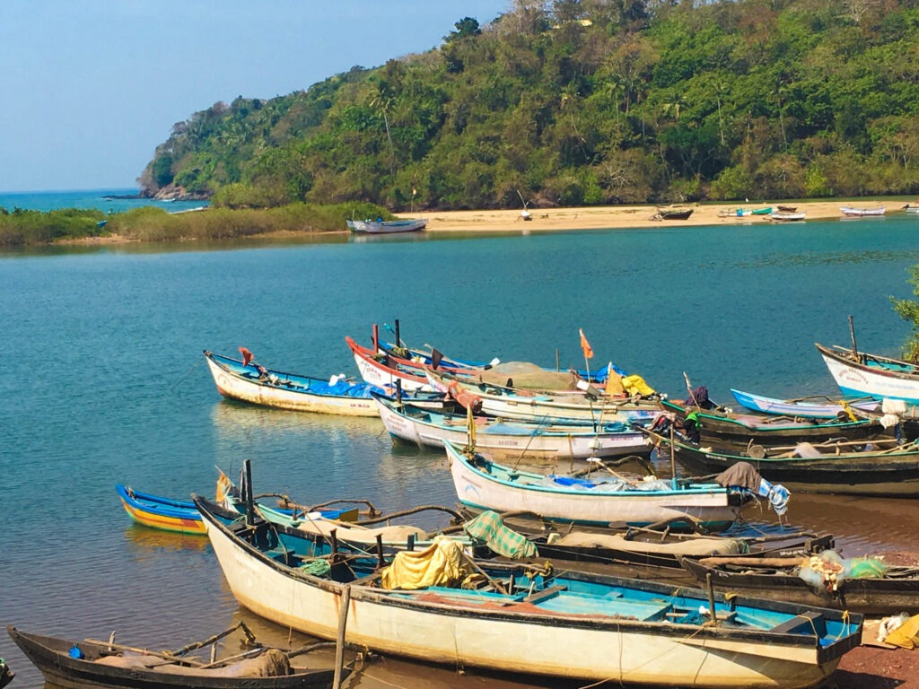 Agonda backwaters