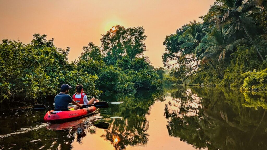 Sal Backwaters